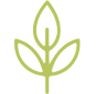 leaf icon