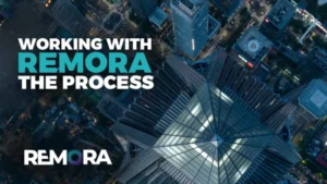 working with remora - the process