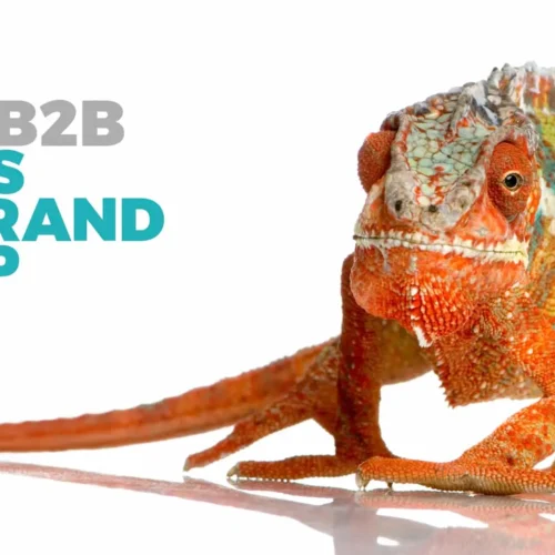 The B2B SaaS Rebrand Trap