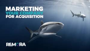 Marketing your company for acquisition