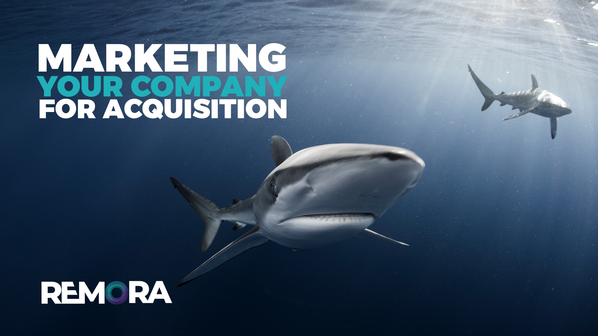The Essential Guide to Marketing Your Business for Acquisition