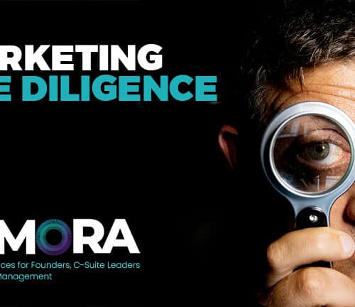 What to Expect from a Marketing Due Diligence Project