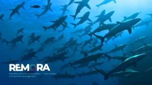 Remora Multiplier