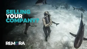 selling your company?